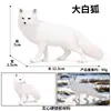 Crianças Simulação Veado-de-cauda-branca Animal Alce Veado Sika Modelo Ornamentos Sólidos Conjunto Brinquedos de Natal
