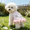 Ropa para Mascotas Ropa para Perros Malteses Estilo Nuevo Primavera y Otoño Estilo Princesa Blanca Encaje Pesado Perro Pequeño Gama Alta