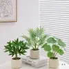Plantas Verdes, Vasos Pequenos, Árvore da Fortuna Semelhante para Mesas de Escritório Internas, Mesas de Centro de Sala de Estar, Flores Artificiais e Arranjos Florais