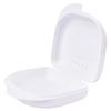 Caixa de Dente com Furos, Caixa de Dente Pequena de Plástico, Caixa para Dentes de Contenção, Caixa para Aparelho Ortodôntico, Caixa para Armazenamento de Prótese Dentária, Caixa para Dentes Decíduos