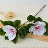 2 película de horquilla Magnolia sentir único grande Magnolia decoración del hogar piso botella flor decoración escaparate ventana flor 3D