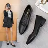 Zapatos planos de tacón grueso con punta, de suela blanda y no cansados, para mujer, novedad otoño 2026, zapatos profesionales para mujer para el trabajo y el trayecto al trabajo