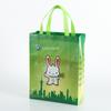 Personalizado Color Film Laminado Não-tecido portátil Publicidade Gift Bag Food Wine Packaging Bag