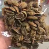 Paquete de ingredientes para sopa de abulón pequeño de siete estrellas, abulón Buddha Jiaoqiang, abulón de piedra seco, mariscos, no listo para comer