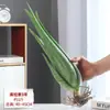 Plantas de Aloe Vera em Vasos, Plantas de Mesa para Interior de Escritório, Suculentas que Podem Ser Usadas no Rosto e Consumidas, Purificam o Ar, Pequenas Plantas Verdes de Curaçao