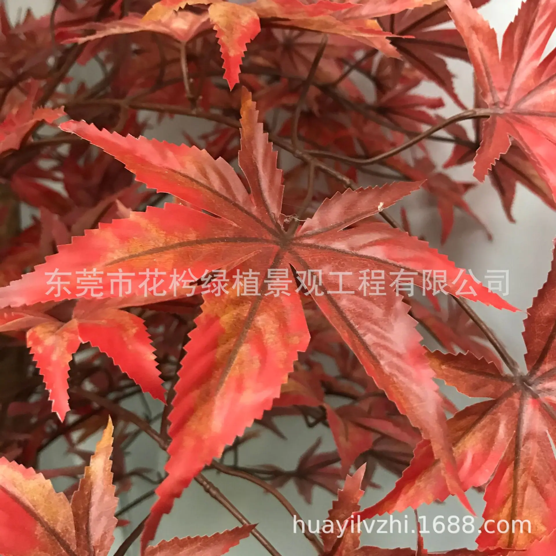 微信图片_2021052809445341
