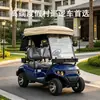 Atracción turística carrito de golf eléctrico, vehículo de paseo para resort de parque de atracciones, carrito de golf para zoológico