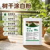 Pintura blanca seca de alta calidad para troncos de árboles, anticongelante, protección solar, fácil de operar, preferida para el mantenimiento del jardín, gran cantidad, dropshipping