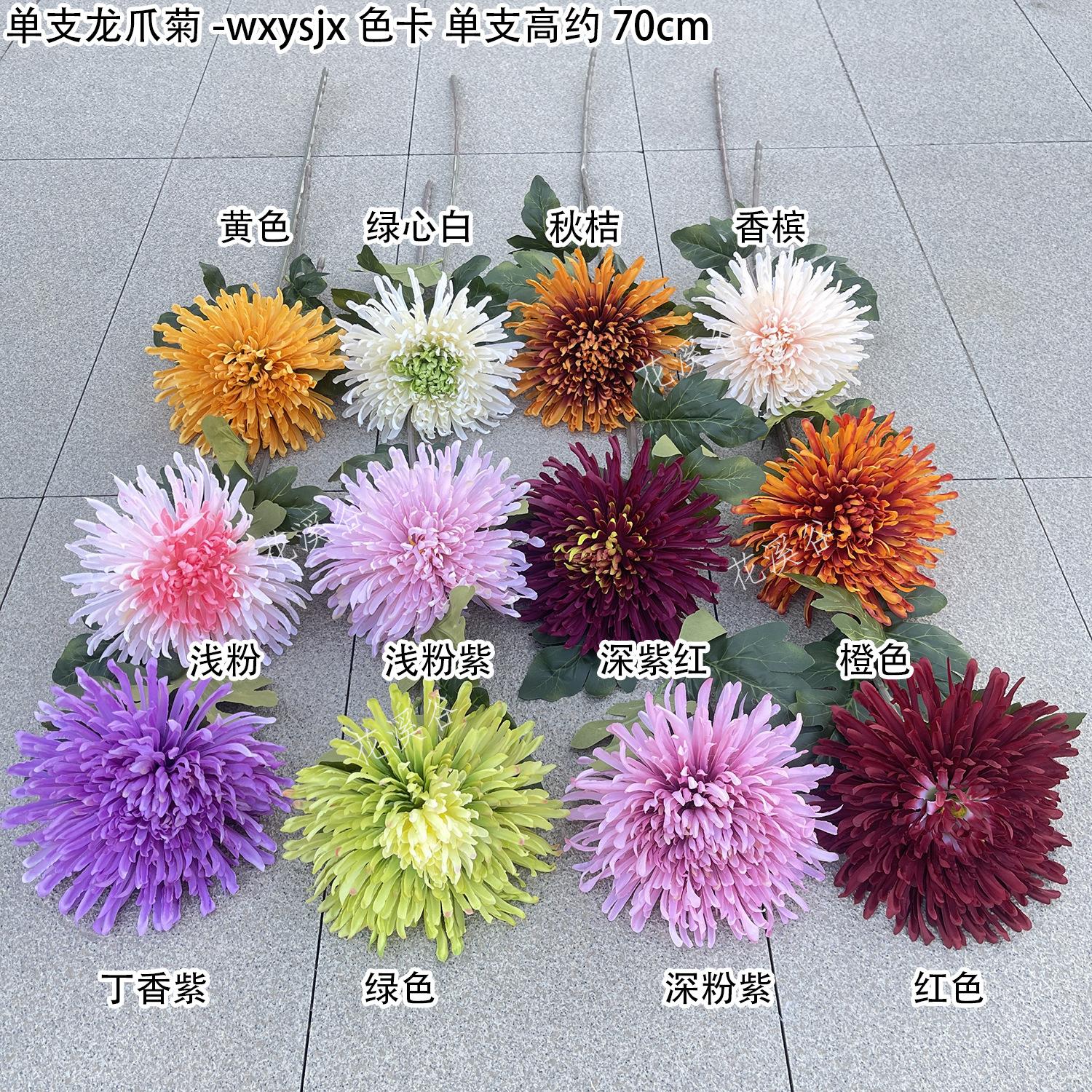 单支龙爪菊-wxysjx 色卡 花溪谷.jpg
