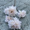 Fábrica de flores para bodas 6 cabezas Flor de Chennai Hibisco nuevo Peonía Decoración de boda para el hogar Flor artificial Flor al por mayor