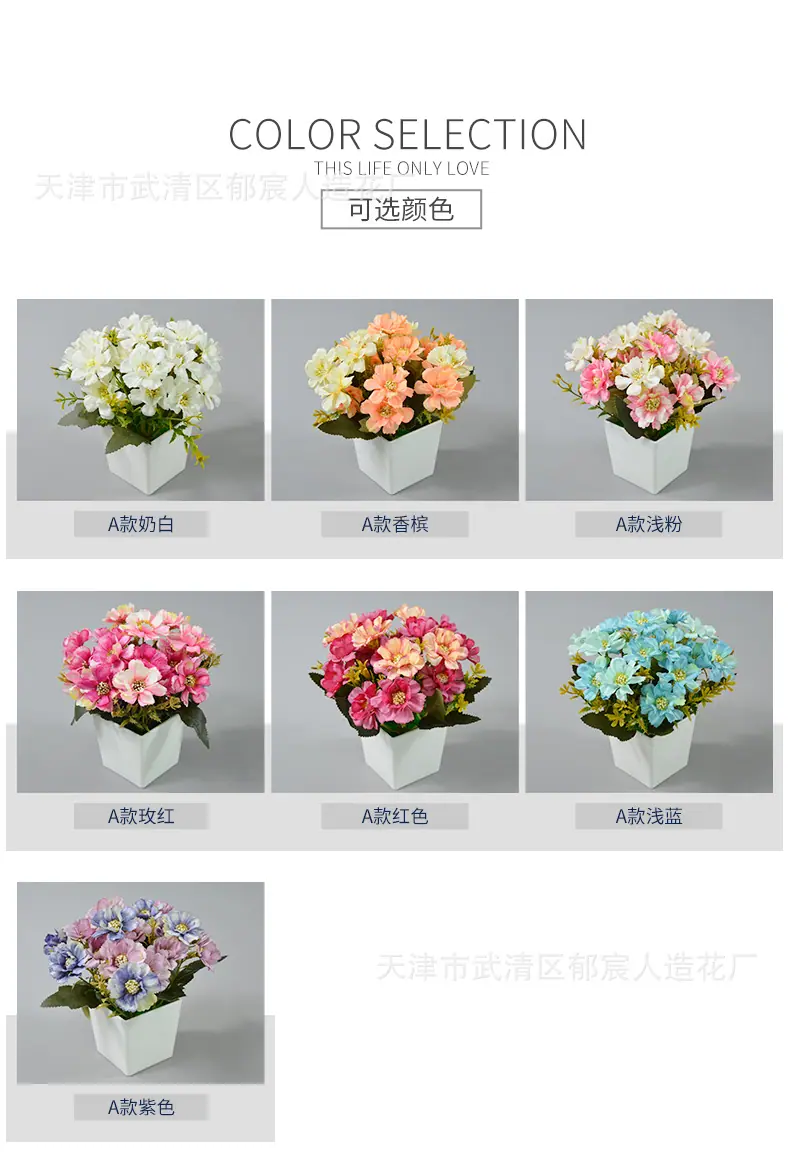 详情_02.jpg