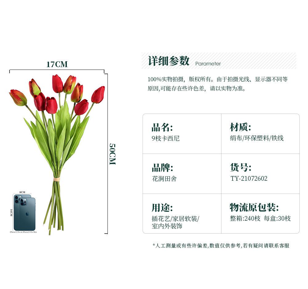 9枝卡西尼-7.31_02.jpg