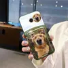 Adequado para Capa de Celular Kyocera, Porta-Cartão de Pet Fofo, Cartão Jovem, Porta-Cartões Personalizado para Homens e Mulheres, Compartimento para Cartões, Borda Completa Cachorro