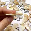 Cadena para Teléfono con Forma de Mariposa Degradada de Imitación de Concha Bicolor, Llavero, Colgante para Coche, Accesorio de Mariposa Acrílico