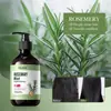 OEM Transfronterizo Menta Romero Champú Limpieza Profunda Nutritivo Reparador Antifrizz Personalización
