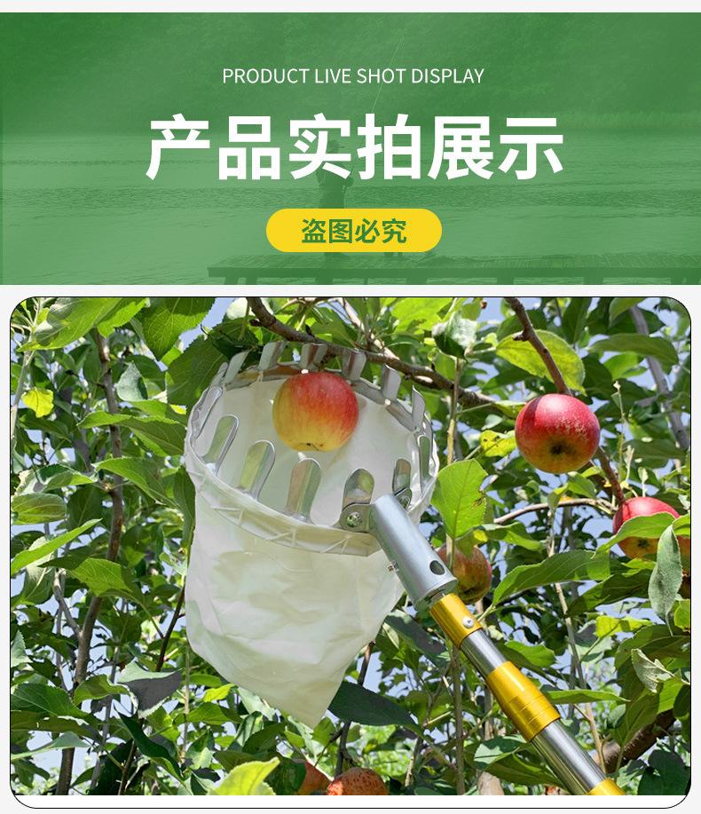模板_13.jpg
