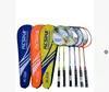 Raquetes de Badminton Feitas de Liga de Ferro, Conjunto de 2, para Treinamento de Estudantes e Entretenimento Familiar, Raquetes de Badminton Tipo Dividido