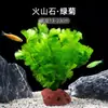 Plantas de Acuario, Decoraciones de Paisajismo con Césped Real, Plantas Aptas para Principiantes, Crisantemo Verde Ciempiés, Plantas de Sombra, Piedra Volcánica, Plantas Verdes Purificadoras de Agua