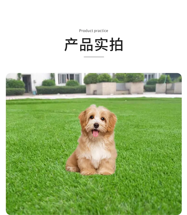 L001-xq_09.jpg