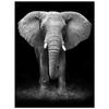 Pintura de diamante 5d pintura de diamante de animal pintura de diamante sala de estar quarto varanda pintura decorativa pintura para pendurar fábrica atacado