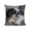 Funda de Almohada de Perro de Alpaca Más Vendida Transfronteriza, Linda Funda de Cojín Decorativa para Dormitorio de Gato, Hogar, Sofá