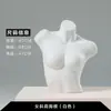 Expositores de maniquí para lencería, maniquíes de medio cuerpo para hombre y mujer (sujetador y bragas), maniquíes de color piel, accesorios de exhibición para lencería