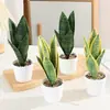 Planta Hypoxis em Vaso com Folhas Altas, Nervuras Prateadas, Pernas Longas, Folhas Verdes, Planta em Vaso Simulada, Sala de Estar Interna, Escritório Fabricante Atacado