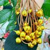 Colgante de Calabaza Estilo Wang Jiaer Imitación Oro Vietnamita Oro Oro Calabaza Grande Cadena de Lana Colgante