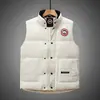 Moda Otoño/Invierno 2025 Chaleco de Plumas de Moda Chaleco Versátil de Moda Chaleco con Cuello Alto Ropa para Hombre