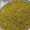 Feijão Fradinho em Conserva, Feijão Azedo, Feijões em Conserva Sabor Original, Feijão Fradinho em Conserva Autêntico de Sichuan Embalado, Macarrão de Arroz, Espetinhos de Churrasco