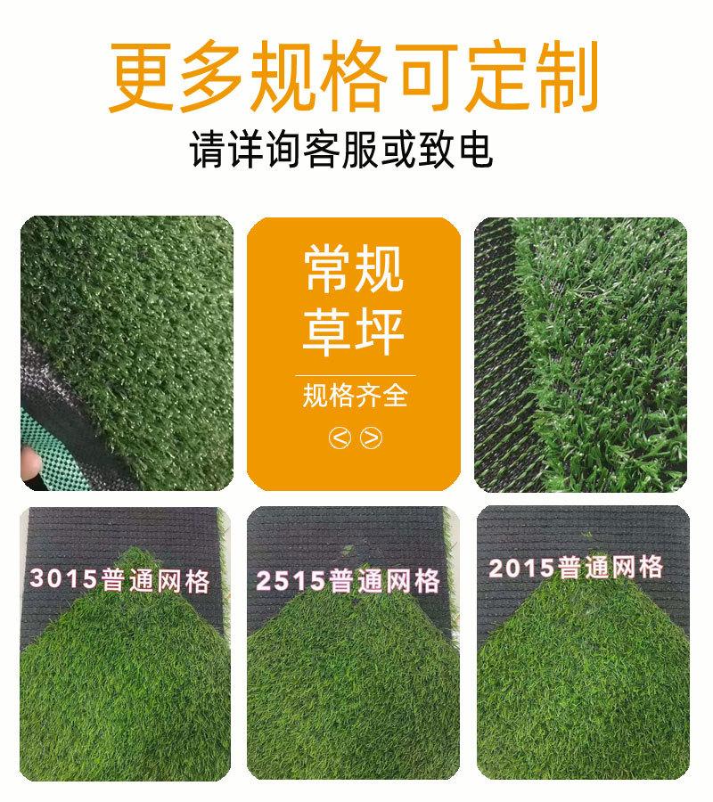仿真草坪_04.jpg