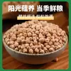 Productos Agrícolas Alpinos Orgánicos de He Yuan Aohan Personalizados Garbanzos Orgánicos 1 kg Cereales Suaves de Mongolia Interior