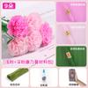Ramo del Día de la Madre clavel papel crepé flor hecha a mano bolsa de material flor de papel crepé completa para hacer tú mismo flor tridimensional