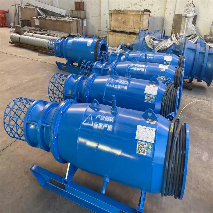 卧式雪橇式轴流泵 (7)