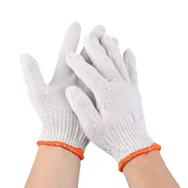 mmexport1702368050962