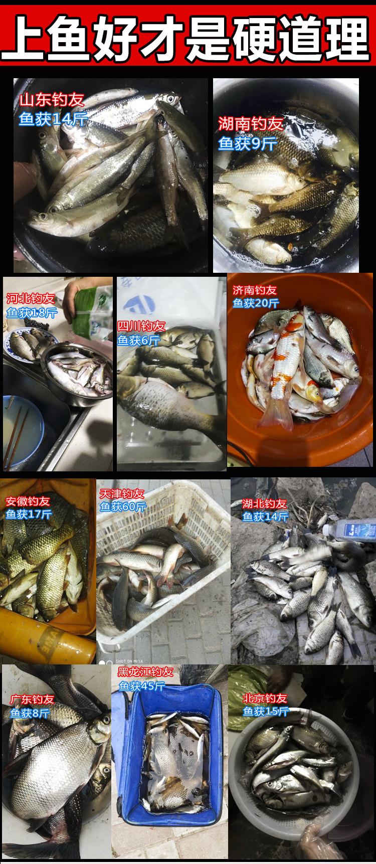 鲤鱼一号详情PSD_12.jpg