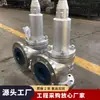 Válvula de Seguridad de Acero Inoxidable A42Y-25/40P Válvula de Seguridad de Apertura Mínima por Resorte Válvula de Alivio de Presión Válvula de Seguridad para Vapor