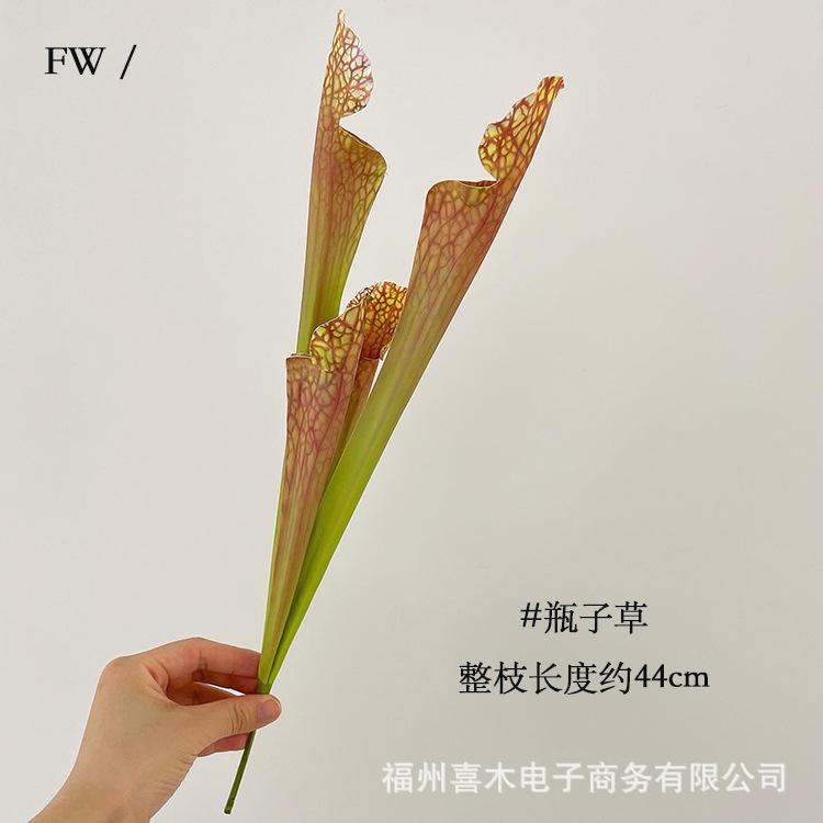 选项.jpg