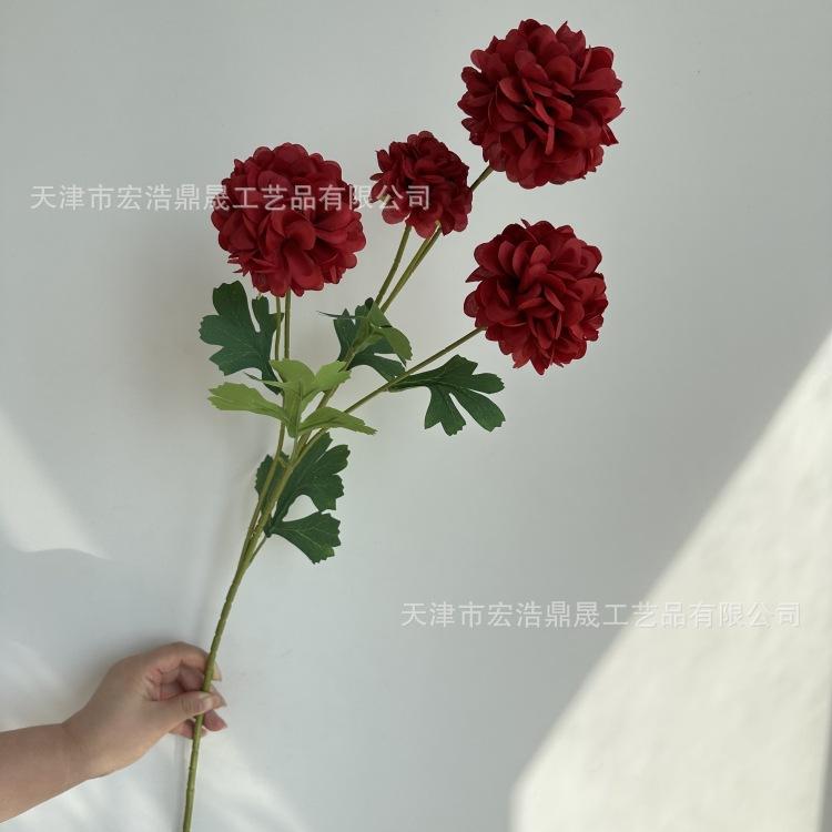 微信图片_20230913151910_副本