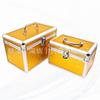 Caja de Almacenamiento Portátil para Cosméticos de Viaje Caja de Manicura Caja para Técnico de Pies Caja de Bordado de Orejas Caja de Herramientas de Aleación de Aluminio