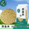 Farinha de Trigo Integral para Fazenda Arroz de Trigo Sarraceno Em Estoque Fornecimento Grãos de Trigo Triângulo Grãos Grossos de Fazenda Arroz de Trigo Sarraceno Dropshipping Atacado Varejo