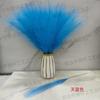 Fuegos Artificiales para Decoración de Bodas, Cañas Artificiales de un Solo Tallo, Hierba de Pampa, Productos Populares Transfronterizos de Amazon Temu, Dropshipping