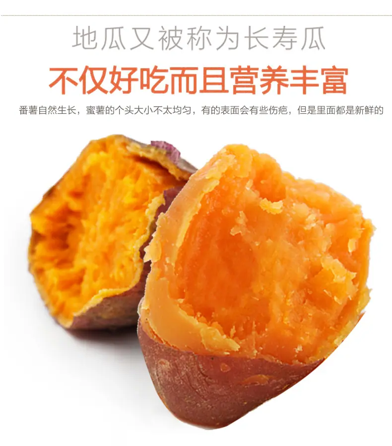 福建六鳌蜜薯 代发3斤流油可蒸煮生地瓜板栗香根茎食材新鲜蔬菜详情图4