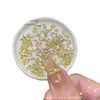 Zirconia Rectangular Dorada para Uñas Mini Pedrería de Fondo Plano Decoraciones Populares para Uñas Pedrería Dorada Larga en Tira Pedrería para Uñas Francesas
