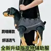 Asistente para Patas Traseras de Perro con Mascotas Perros Mayores Perros Discapacitados Perros Mayores Lesiones Débiles Asistencia para Salir con Correa de Tracción