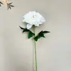 Flores Artificiales de Peonía Individuales de Nuevo Producto Transfronterizo Decoración Suave para el Hogar Decoración de Filas de Flores para Bodas y Hoteles Flores Artificiales Hechas a Mano