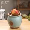 Vaso de Flor Carnuda Cerâmica Jardinagem Cerâmica Mini Novo Criativo Grés Casa Vintage Novo Vaso de Porcelana Vaso