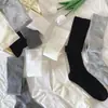Calcetines Verticales de Color Sólido para Mujer, Primavera y Verano, Delgados, Estilo ins Trendy miu, Para Mostrar con Zapatos Mary Jane, Estilo jk Japonés, Calcetines hasta la Pantorrilla