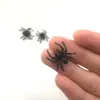 Pequena aranha Halloween teia de aranha decoração pequenos acessórios brinquedo falso pequena aranha de plástico PE simulação preto pequena aranha