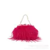 Bolsos Transfronterizos Nuevo Estilo Coreano Borla Gama Alta Pluma de Pavo Nicho Bolso Cruzado con Cadena de Perlas Versátil para Otoño e Invierno Felpa